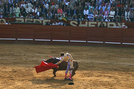 corridadetoro2009_josetomas_2.jpg